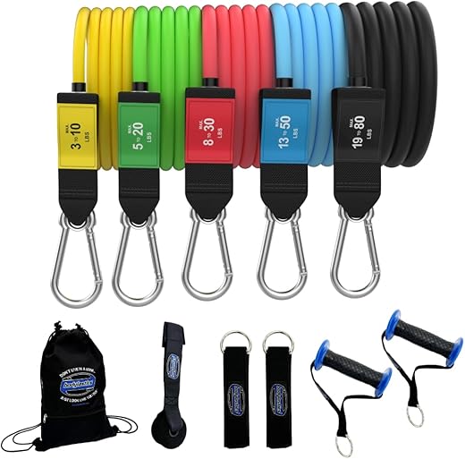 Bodylastics Patented Basic Series Resistance Band Set - Resistance Bands with Snap Reduction Tech, 2 Handles, 2 Ankle Straps, 1 Door Anchor & 1 Carry Bag